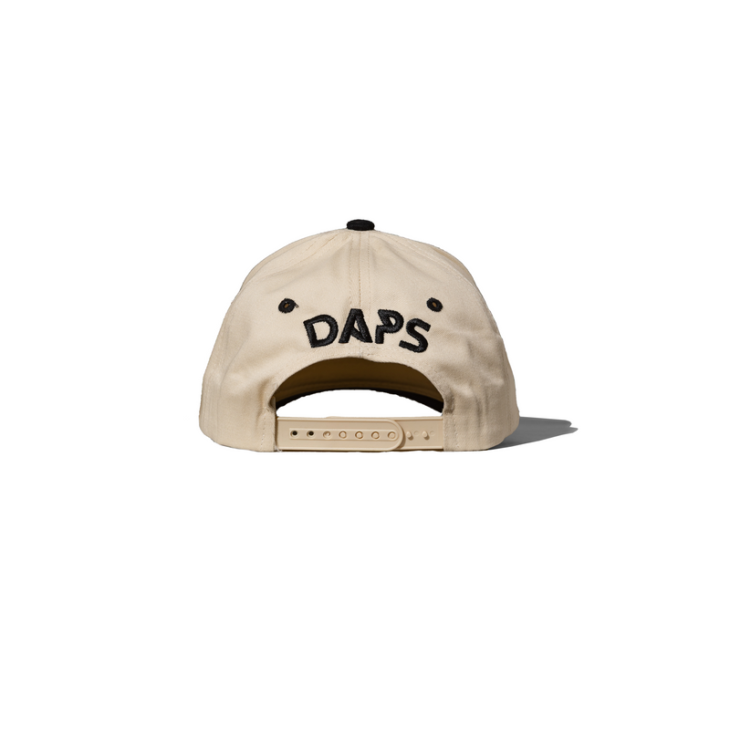 DAPS: The Mojave