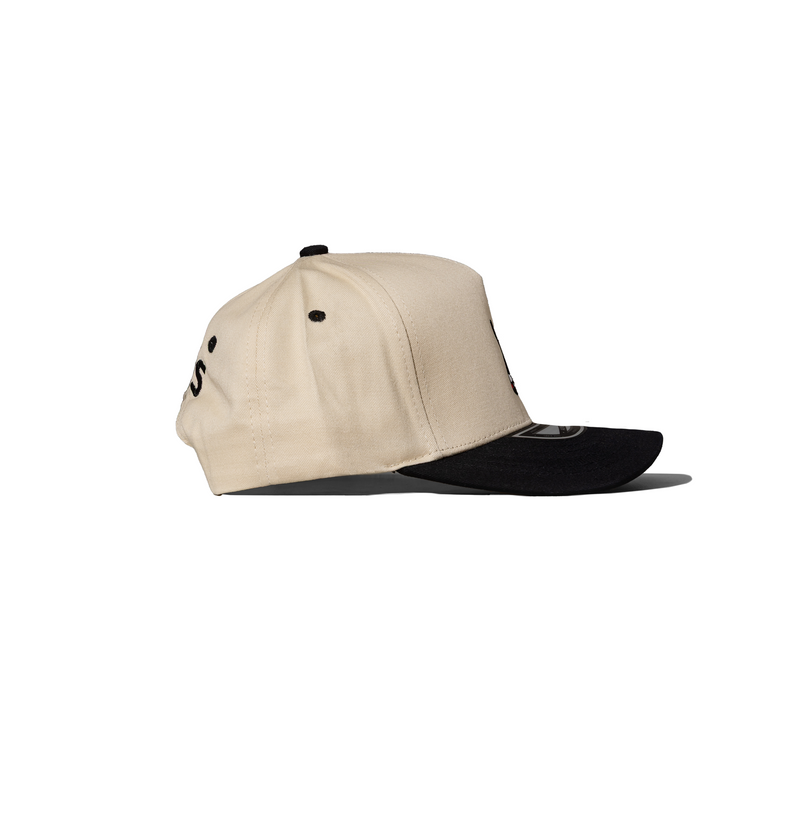 DAPS: The Mojave